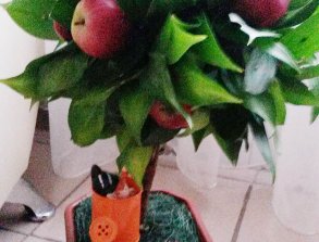 20161024_073213