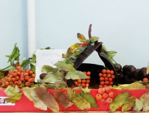 20161024_085125