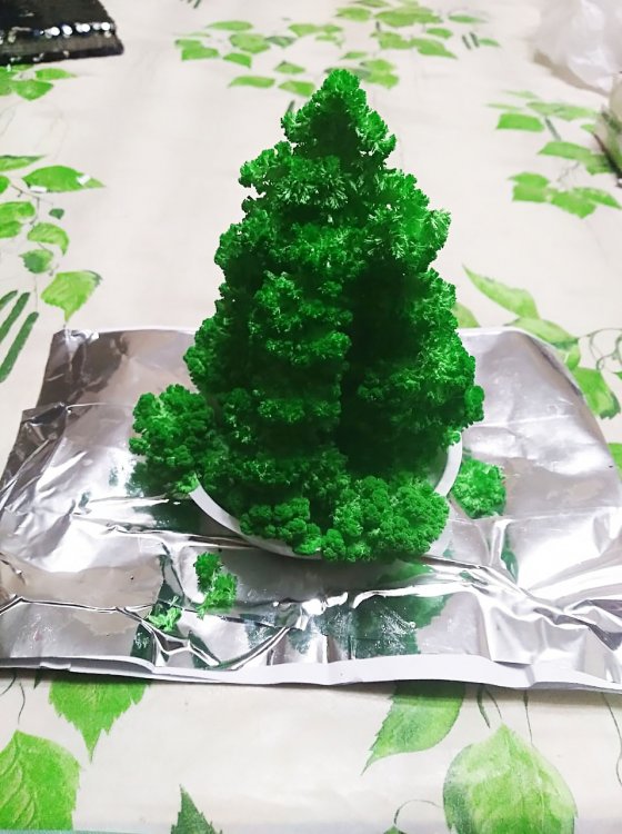 img-20191206-wa0001